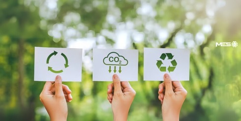 How MES Reduced Its Carbon Footprint by 69% in 2024!